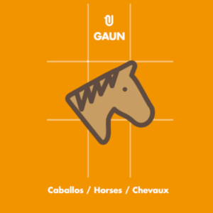 CABALLOS