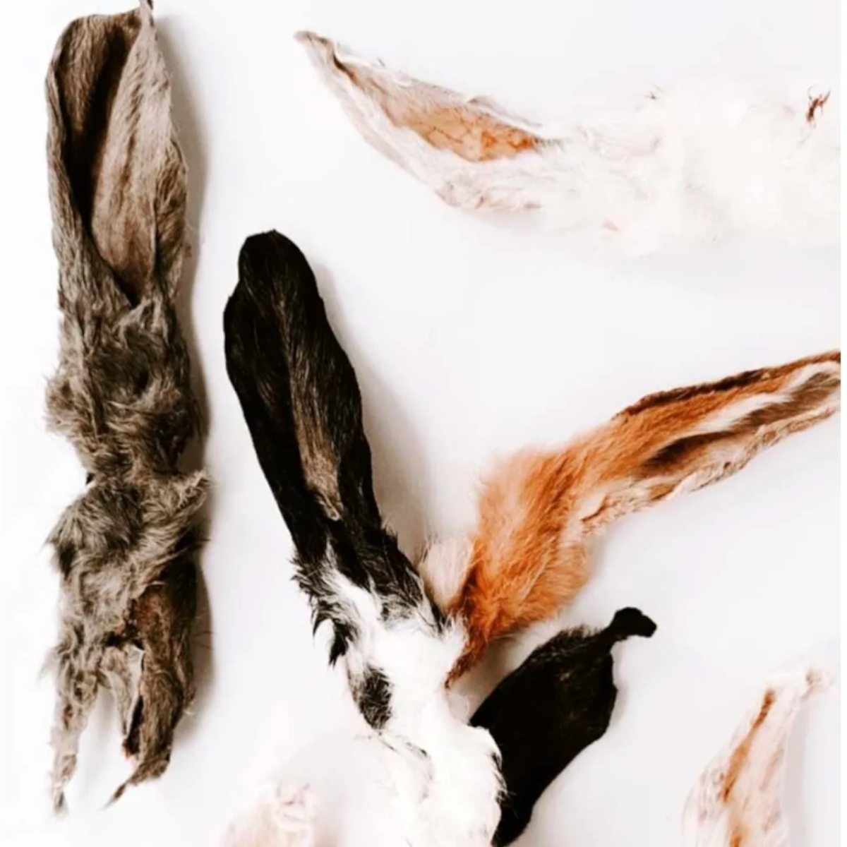 OREJAS DE CONEJO C/PELO