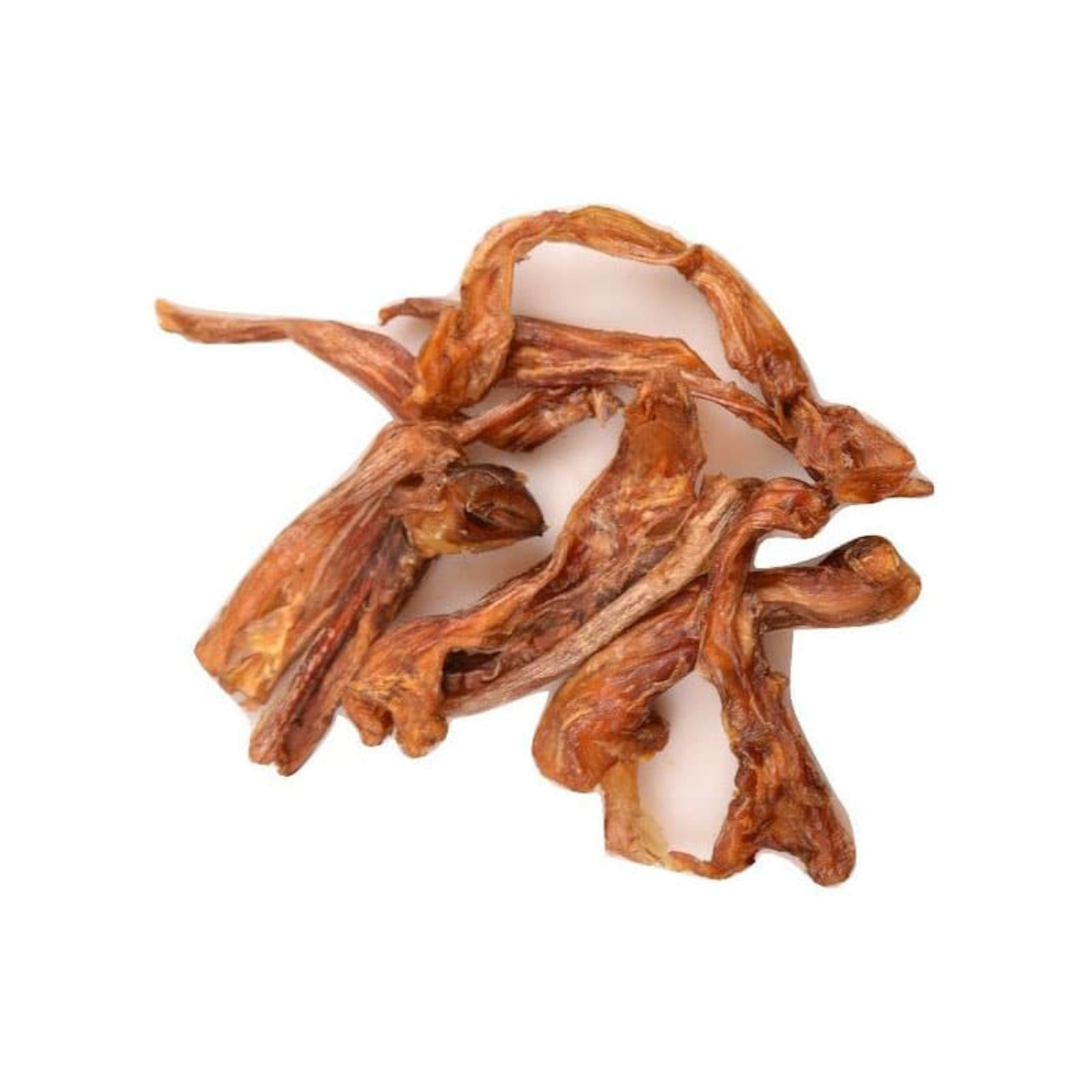 HUESO CABALLO C/TENDON AQUILES