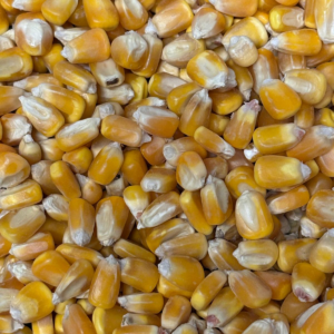 Maíz brasileño 25 Kg.