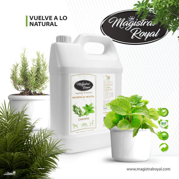 Magistral royal Champú Romero y Mentol 5 L